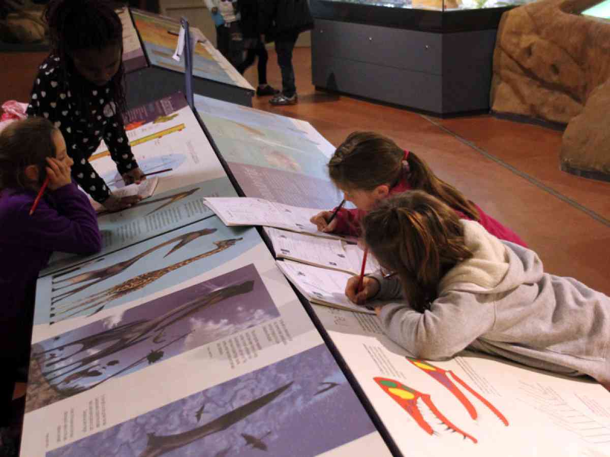 Dinosaur Isle picture gallery
